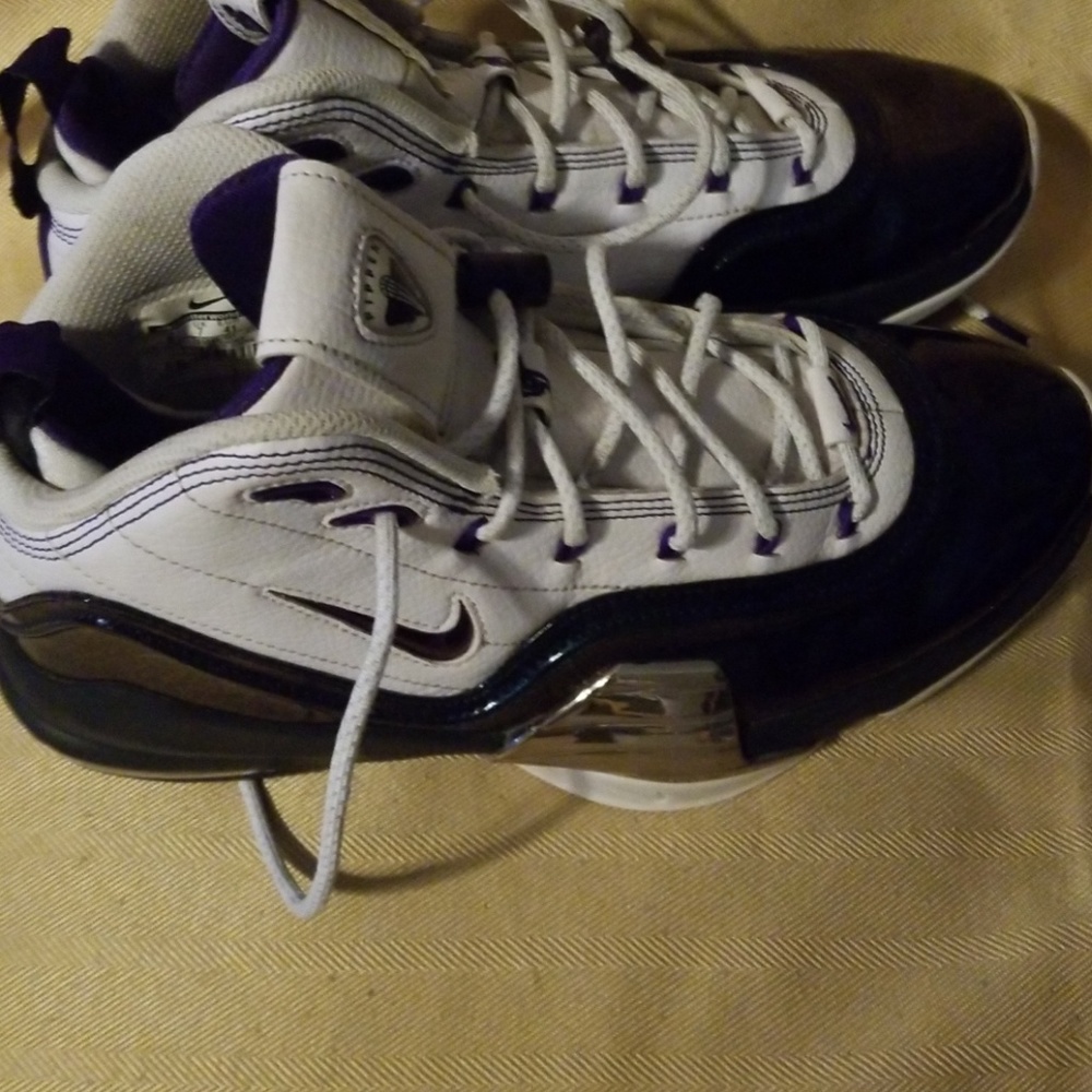 Pippen Air Flight Shoes